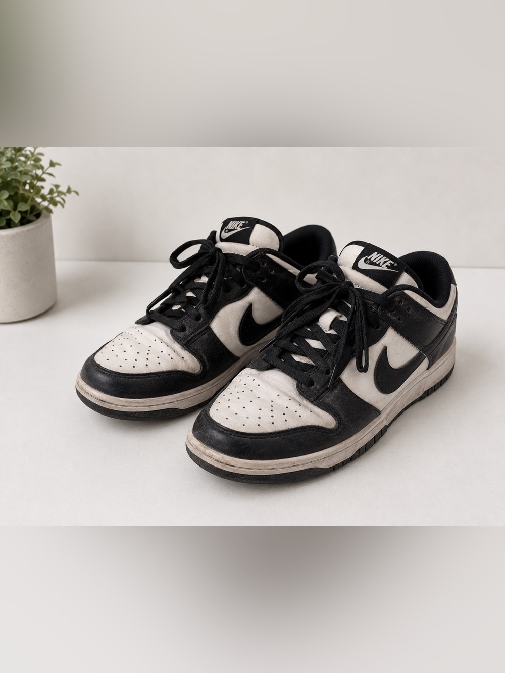 Nike Panda Black and White Low-Top Women Sneakers